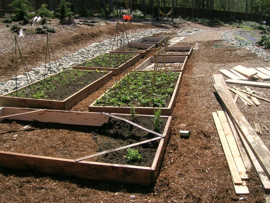 Progress Report on Raised Garden Beds