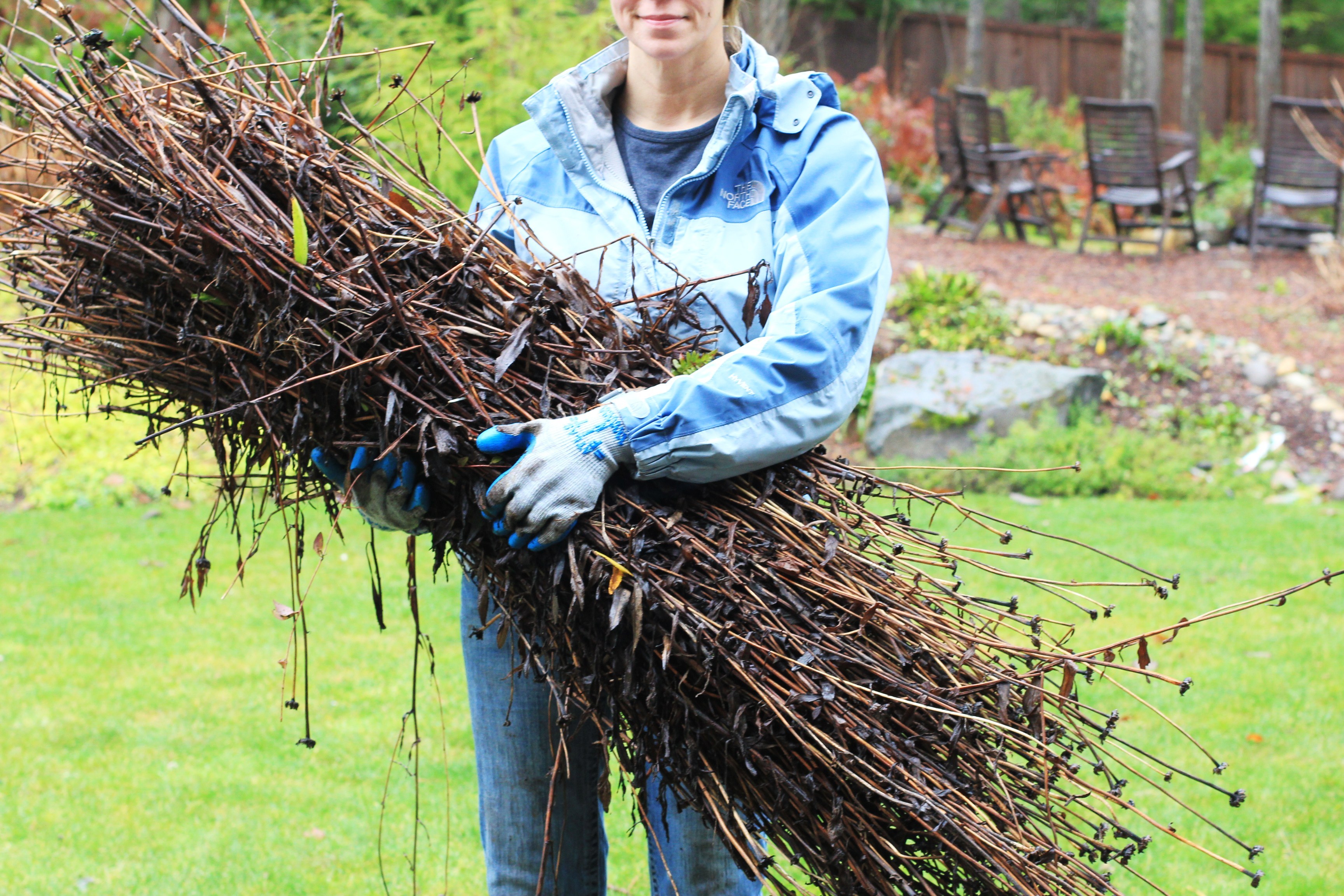 Garden Clean Up…