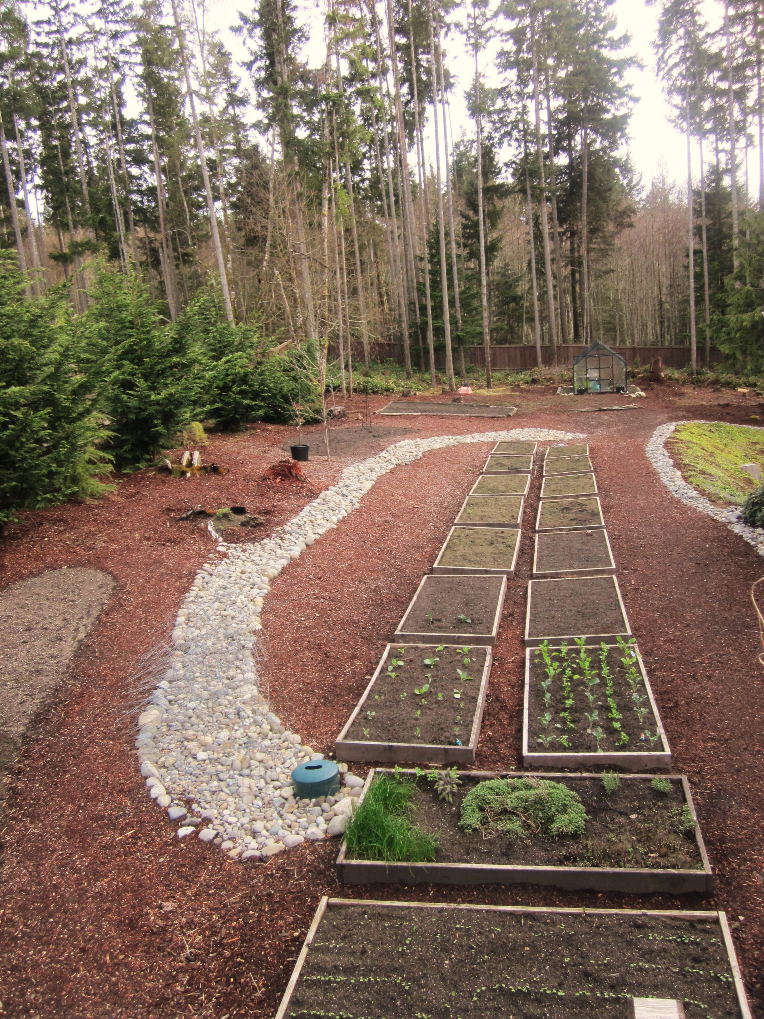 How to Grow Your Own Food: Garden Plot Pictures