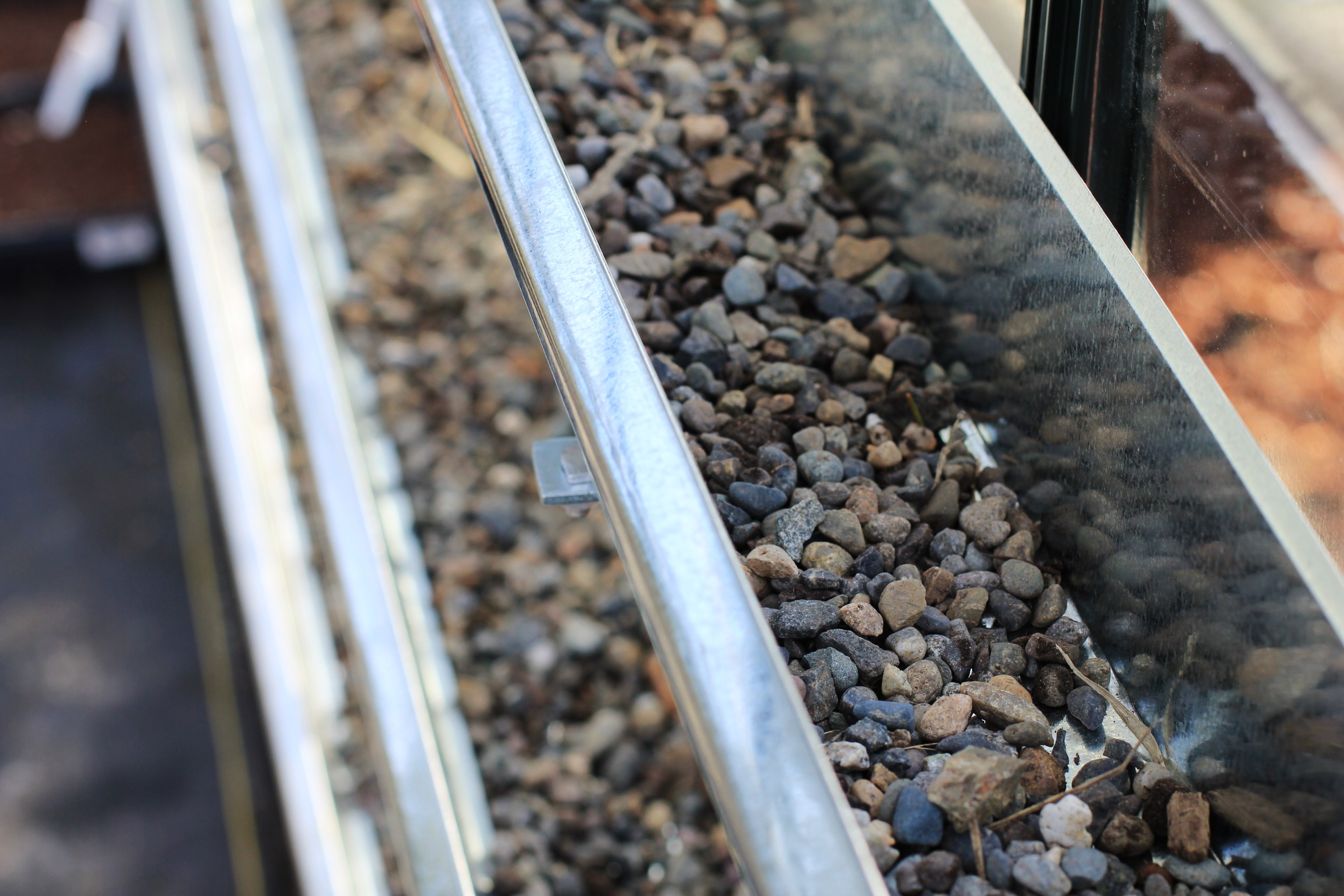 How to Grow Food In a Greenhouse: Planting Strawberries in Gutters