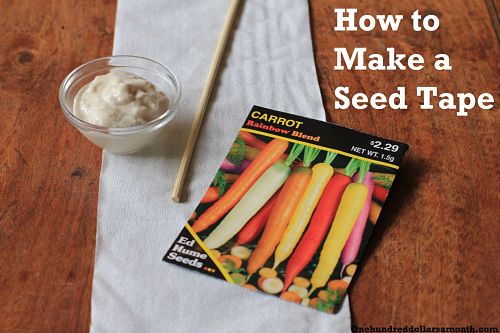 Garden Projects For Kids: How to Make a Seed Tape