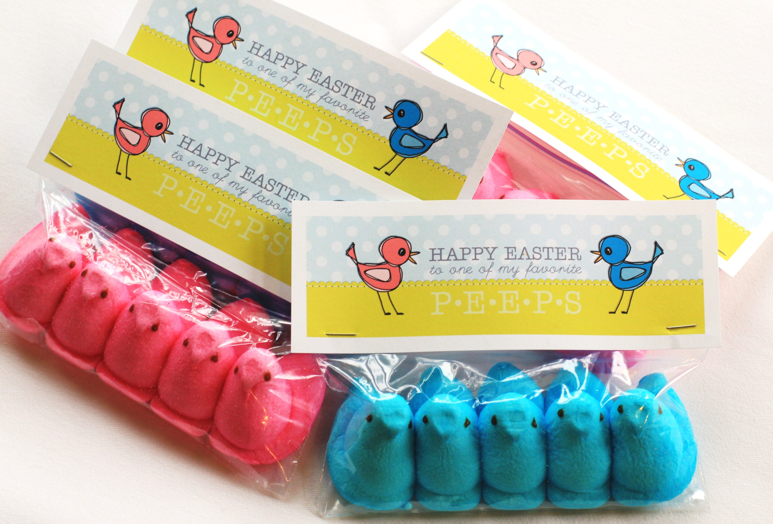 Easy Easter Craft Project For Kids: Peeps