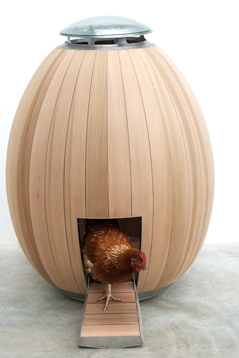 Unusual Chicken Coop Designs