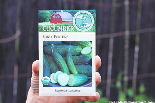 How to Grow Your Own Food: Is It To Early To Plant Tomatoes and Cucumbers?