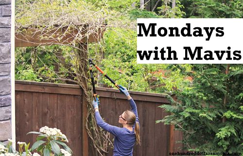 Mondays With Mavis: How to Feed Your Family For $100 a Month