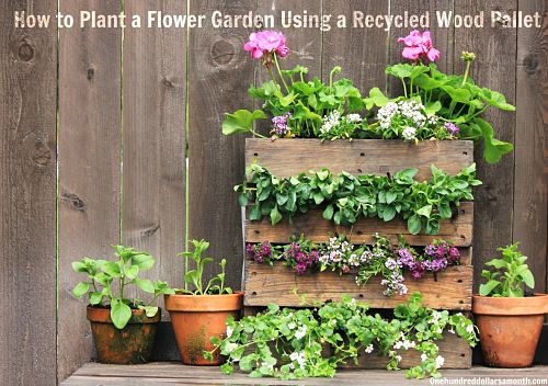 How to Plant a Flower Garden Using a Recycled Wood Pallet