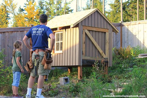 Raising Backyard Chickens: Chino The Handyman Builds a Coop