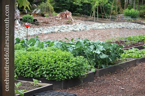 How To Grow Your Own Food: Vegetable Garden Tour