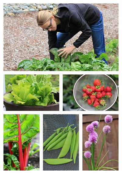 How to Grow Your Own Food: Weigh In Wednesday