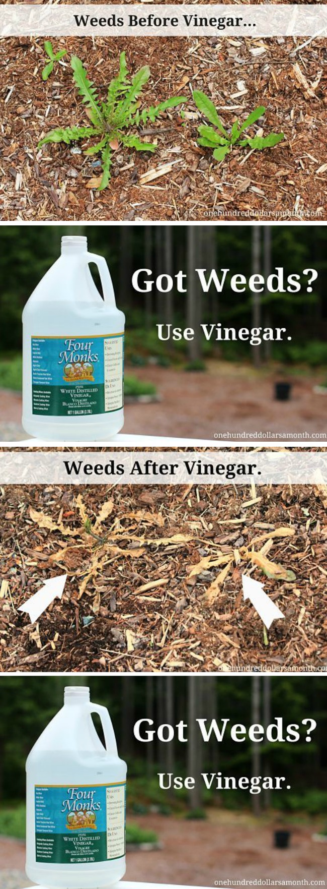 Gardening Tips and Tricks – Vinegar as a Natural Weed Killer