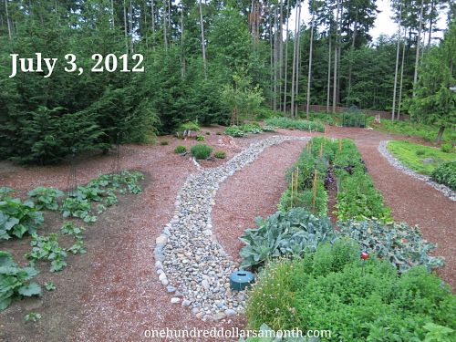 How to Grow Your Own Food: Garden Plot Pictures 7/3/2012