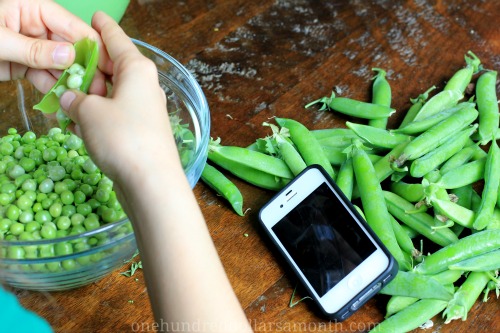 How To Freeze Fresh Peas