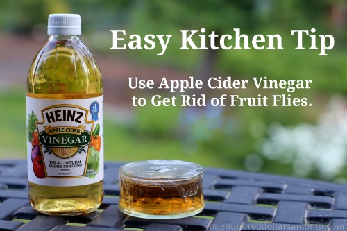 Easy Kitchen Tips – How to Get Rid of Fruit Flies
