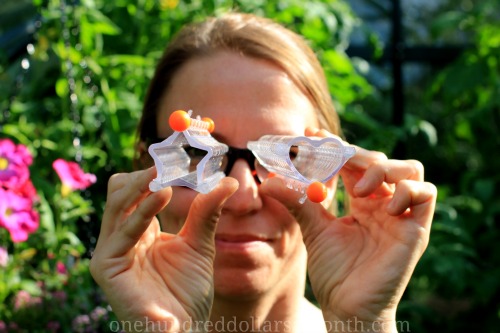 How to Grow Heart Shaped Cucumbers – Say What?