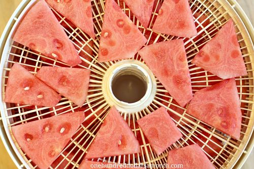 How to Dehydrate Watermelon – How to Make Watermelon Candy