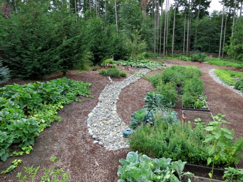 How to Grow Your Own Food: Garden Plot Pictures Update