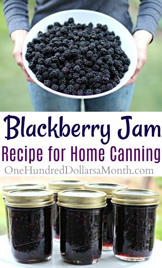 Canning 101 – How to Make Blackberry Jam