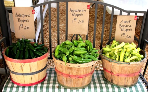 Roadside Vegetable Stands – Duris Farms Puyallup, Washington