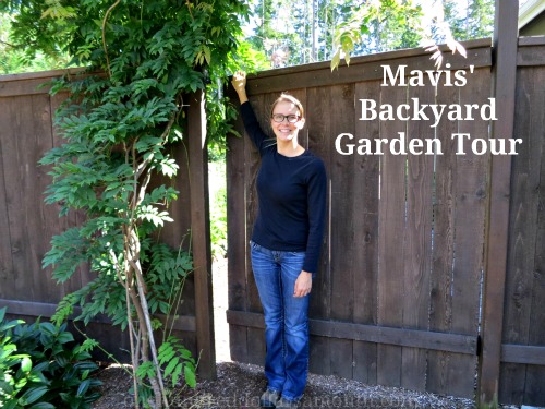 Mavis Garden Blog – Garden in Transition