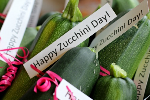 Mavis Garden Blog – Happy National Zucchini Day!