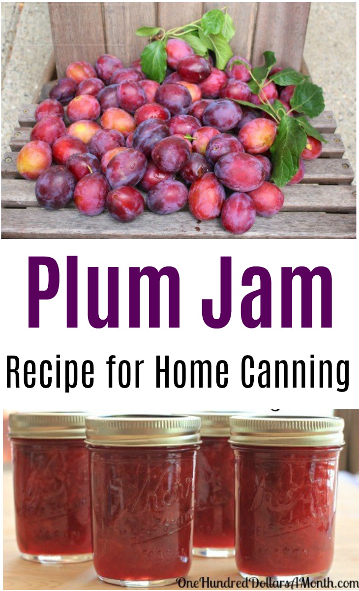 Canning 101 – Cinnamon Plum Jam Low Sugar Recipe