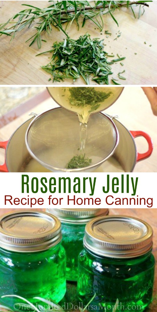 Canning 101 – How to Make Rosemary Jelly