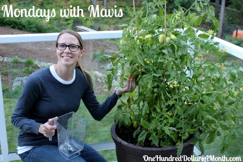 Mondays with Mavis – How to Feed Your Family for $100 a Month