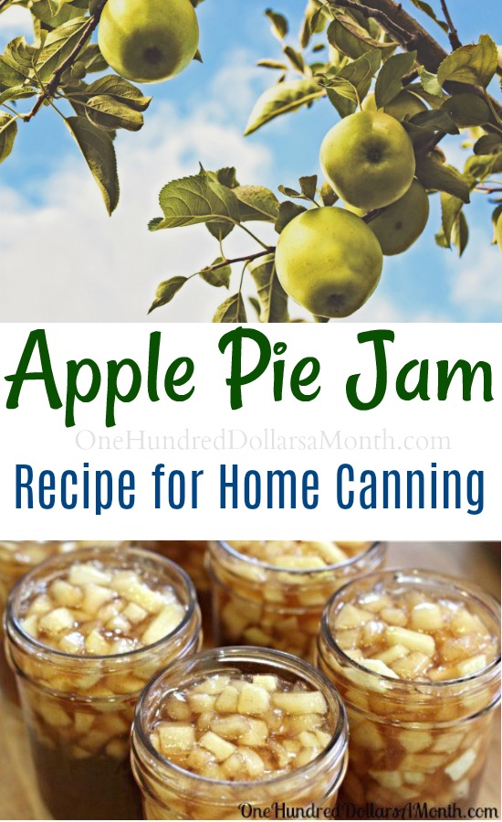 Canning 101 – Apple Pie Jam Recipe