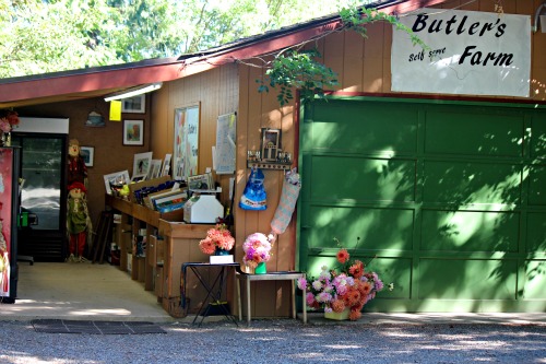 Roadside Fruit and Vegetable Stands – Butler’s Farm Gig Harbor, Washington