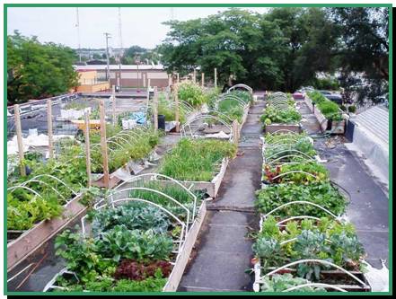 Green Gardens – Rooftop Gardens in the City