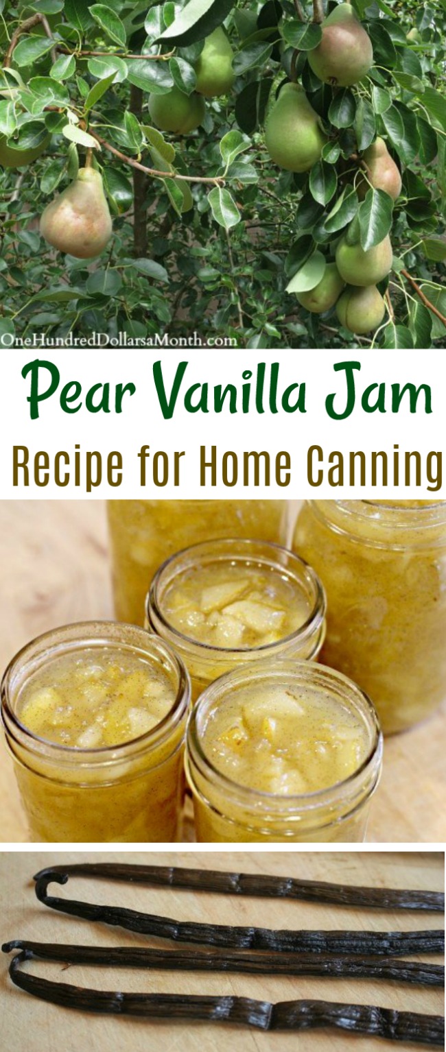 Canning 101 – Pear Vanilla Jam Recipe