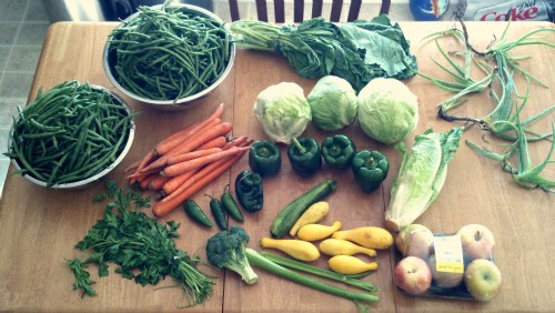 Reader Melissa Sends in Her Free Produce Pictures