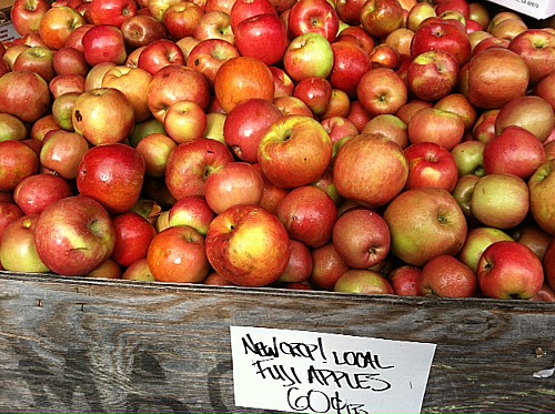 Roadside Fruit Stands – Tacoma Boys