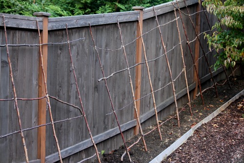 Mavis Butterfield’s October Garden Tour