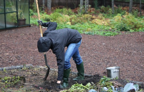 How to Grow Your Own Food – Weigh In Wednesday