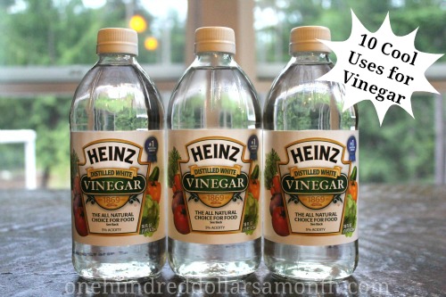 Frugal Living Tip – 10 Cool Uses for Vinegar