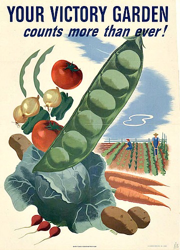 WWII War Victory Gardens