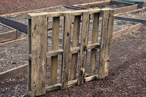 Pallet Gardening – DIY Flower Box