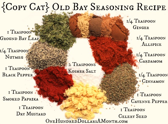 DIY {Copy Cat} Old Bay Seasoning Recipe