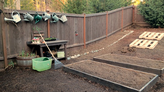 Mavis Butterfield | Backyard Garden Plot Pictures – Week 9 of 52
