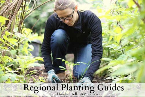 Regional Planting Guides For Backyard Gardeners