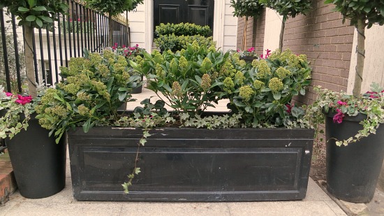 Inspiring Window Boxes