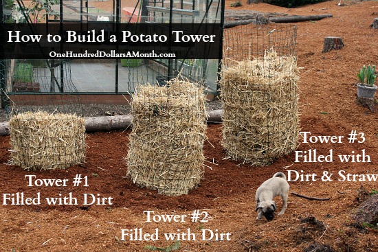 DIY – How to Build a Potato Tower