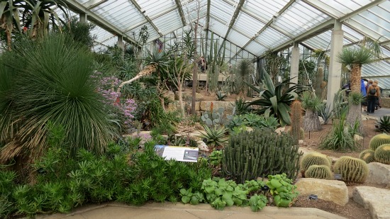 Kew Royal Botanic Gardens – Succulents