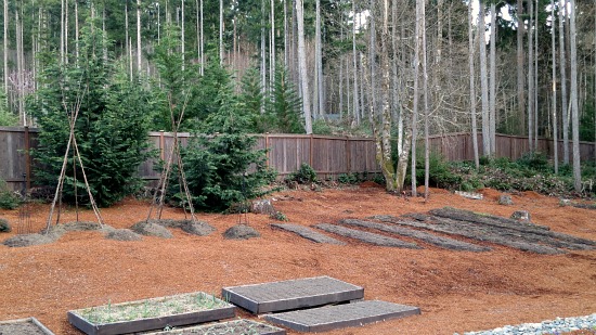 Mavis Butterfield | Backyard Garden Plot Pictures – Week 13 of 52