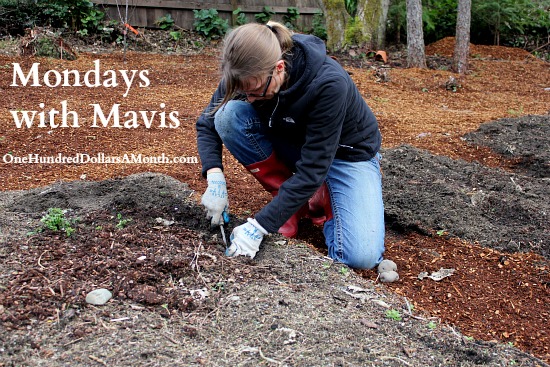 Mondays with Mavis – How to Feed Your Family for $100 a Month