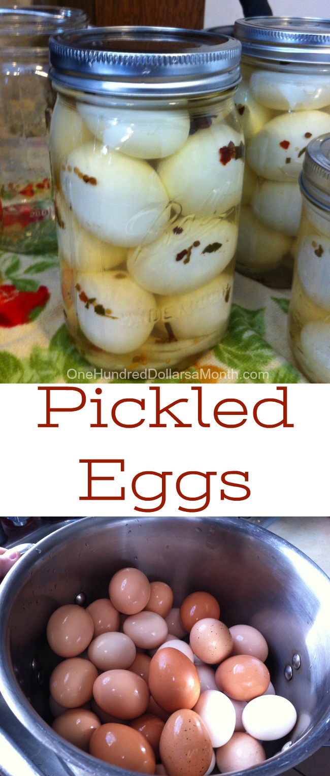 Recipe – How to Make Pickled Eggs