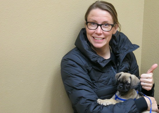 Lucy the Puggle Dog Goes to the Vet