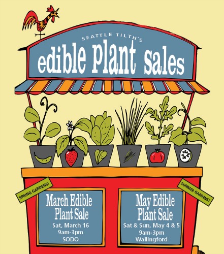 Seattle Tilth March Edible Plant Sale March 16th, 2013