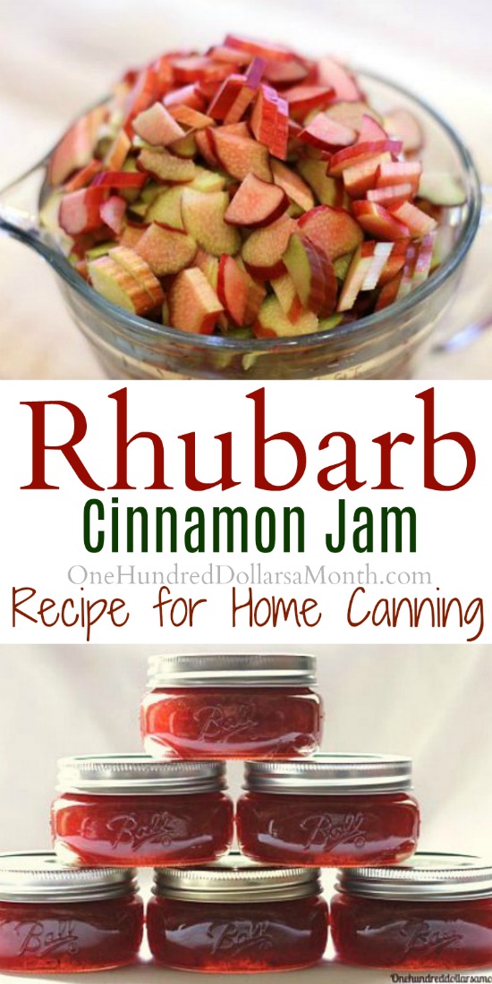 Canning 101 – Rhubarb Cinnamon Jam Recipe